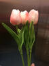 塔洛克（tulloch）郁金香假花仿真花摆设房间卧室客厅家居装饰餐桌摆件干花永生花束 3朵粉白色 实拍图