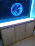 森森（SUNSUN）鱼缸水族箱含鱼缸过滤器灯大型金鱼缸 珍珠白 时尚款1.2米长34.6cm宽底滤 带棉+滤材 实拍图