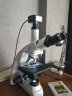 奥斯微（AOSVI）实验生物显微镜高倍细菌真菌观察科研教学生物显微镜专业6000倍 L208-3M180（1800万像素/3.0） 晒单实拍图