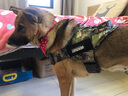 出众者狗狗牵引绳马犬胸背带大型犬狗绳背心式狗背带法斗金毛狗狗用品 背带+1.3米狗绳/迷彩 L码（推荐体重35-75斤） 实拍图