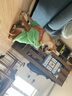 憨憨宠 狗狗衣服 猫衣服宠物衣服变身装猫咪衣服中小型犬幼犬秋冬服装 登峰造极款 XL号建议体重10-18斤 实拍图