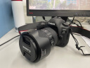 佳能（Canon） EOS 5d4/5DMark IV单反相机5D3升级版/无敌狮全画幅单反相机拆单  24-105 f/4L IS II USM镜头 晒单实拍图