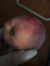 京鲜生 甘肃天水花牛苹果5kg装 单果200g起  新鲜水果 健康轻食 实拍图