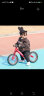 飞鸽儿童平衡车自行车滑步车男女滑行车两轮童车学步单车辐条轮酒红色 实拍图