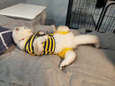 华元宠具（hoopet）猫咪衣服防掉毛蓝猫宠物布偶英短美短秋冬薄款冬季保暖可爱四脚衣 【薄绒款】俏皮猫咪背带裤黄色 S-（建议3-6斤） 实拍图