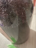 姚朵朵熟黑芝麻 320g/罐烘焙烹饪原料低温炒制五谷杂粮白芝麻伴侣 实拍图