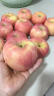 顾一 正宗山东烟台苹果栖霞红富士苹果礼盒新鲜时令水果生鲜 85-90# 一级10斤特大果 晒单实拍图