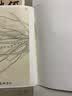 名家画谱系列：兰花白描写生集 实拍图