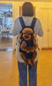 DogLemi宠物中小犬外出户外背包双肩骑行胸前包透气网布狗包DogLemi 蓝色 L（11-20斤内） 实拍图