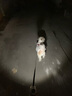 纤宠（QIANCHONG）发光宠物自动伸缩牵引绳小型犬狗绳柯基遛狗绳柴犬金毛狗链子 白色-单独LED伸缩牵引绳 5米伸缩牵引绳（20-50斤） 实拍图