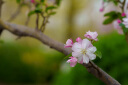 适马（SIGMA）Art 85mm F1.4 DG DN 全画幅微单 大光圈定焦镜头 人像肖像特写（索尼E卡口） 晒单实拍图