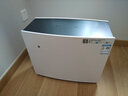 布鲁雅尔（Blueair）空气净化器 Pro M   家用商用 除甲醛 除二手烟除异味除雾霾PM2.5 Pro M净化器,优选25-43㎡ 实拍图