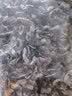 珊耳婆婆东北长白山特产干木耳散装黑木耳干货野外生秋木耳无根新货 长白山黑木耳4斤 实拍图