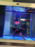 汉霸超白玻璃鱼缸 生态底滤循环系统 鱼缸客厅 家用智能懒人 水族箱 银+白 屏风款0.8米长x36cm宽x75cm+71cm高 实拍图