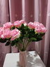 凉笙七夕节玫瑰10支仿真玫瑰花假花客厅家居装饰品婚庆单支干花样板房 10支雪山玫瑰(浅粉色) 实拍图