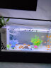长锐侧滤鱼缸桌面办公室免换水生态水草超白水族箱 K800造景版【长80 宽30 高40】 实拍图