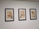 佑圣新中式客厅装饰画餐厅三联挂画郎世宁卧室装饰画沙发背景墙有框画壁画挂画 郎世宁A款三联典雅红褐色【实木框 】 40*60CM 实拍图