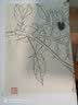 名家画谱系列：百花白描写生集 实拍图