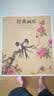 经典画库 郎世宁绘画精品 实拍图