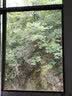 爱淘爱家纱窗网自装窗纱网家用防蚊沙窗纱网防尘纱网加密隐形自粘防蚊纱窗 加厚22目黑色纱网 送配件 1x10m 实拍图