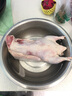 岽鲜 现杀4-8斤土鹅嫩鹅农家散养鹅肉新鲜大鹅白鹅活体冷冻笨老鹅生鲜 大鹅4-5斤 实拍图