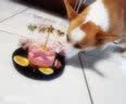 果思萌 宠物狗狗生日猫咪蛋糕手工自制泰迪金毛柯基宠物零食定制含头像 4寸牛肉（不含头像） 实拍图