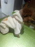 憨憨宠 狗狗衣服泰迪狗衣服中型犬柯基法斗衣服变身装宠物衣服猫咪衣服 奶油色小熊 L 背长33-35cm 建议8-10斤内 实拍图