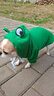 狗狗衣服小中型犬泰迪博美猫咪秋冬新款宠物服饰抓绒卫衣卡通比熊 青蛙卫衣(抽绳款) S(适合3-5斤) 实拍图