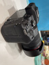 佳能（Canon） EOS R7 微单相机 高速度 高分辨率 APS-C画幅 r7专业数码相机 R7拆单机身+七工匠R转接环【可转接EF卡口镜头】 套餐三【256G专用卡~双电双充~旅行滤镜套装】 实拍图