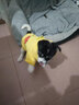 憨憨宠 猫衣服狗狗衣服宠物猫咪衣服冬季幼猫成猫两脚搞笑变身装布偶蓝猫英短泰迪衣服猫咪用品 小黄鸭款 M码 建议4-7斤以内宠物 实拍图