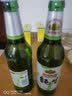 燕京啤酒10度纯生啤酒燕京大绿棒子啤酒新年送礼家庭聚会小酌正品包邮 500mL 12瓶 整箱装 实拍图