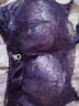 戴芝蒂 女式文胸无钢圈聚拢上托侧收抹胸女内衣DL902819 深紫色 80A 晒单实拍图