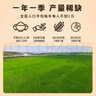 十月稻田 2025年新米 绿色食品 五常大米 10斤（香米 东北大米 5公斤） 实拍图