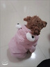 阿莫尔可爱宠物狗狗衣服泰迪小型犬加厚秋冬装四脚加绒猫咪衣服棉衣服饰 大眼睛（粉色） L 建议8-10斤 实拍图