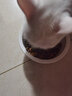 佩玛思特猫粮 深海鱼鸡肉系列 成猫幼猫低敏猫主粮 佩玛斯特 毛发管理成猫粮2kg 实拍图