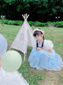 蓓然美灰姑娘公主裙秋爱莎连衣裙艾莎爱丽丝生日礼服儿童公主裙演出服 灰姑娘A 120 实拍图