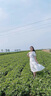 柚一杉女童连衣裙夏装薄款儿童学院风碎花裙子女孩棉质夏季中大童公主裙 白色 150建议身高145cm左右 实拍图