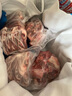 谷开元宁夏滩羊肉羊前腱（带拐筋）净重5斤原切羊肉炖煮食材 源头直发 实拍图
