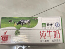 蒙牛 纯牛奶  250ml×24 盒装送礼佳选 世界杯定制装（新老包装随机发货） 实拍图