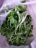 绿食者 新鲜包心罗马生菜500g 罗马罗纹生菜凯撒沙拉蔬菜 西餐沙拉食材 实拍图