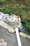 名磊潜水泵家用污水泵220v农用化粪池排污泵抽水泵井用不锈钢清水泵 2寸750W10米线污水泵 实拍图