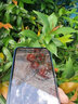 艺派适用vivoy37钢化膜全屏覆盖抗蓝光防爆V2357A高清透明防指纹VIVO Y37m防摔玻璃膜5g版手机保护贴膜 全屏透明【高清防指纹】2片装 实拍图
