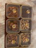 康丰（KANGFENG） 玻璃水果盘家用客厅果盘茶几干果盘干果盒高档托盘干果收纳盒 金把手托盘+竖纹玻璃果盘-6格 实拍图