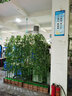 仿真竹子假竹子装饰隔断栅栏加密绿竹子塑料屏风植物墙室内室外毛竹 2米高加密竹子 实拍图