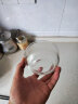 Ocean泰国进口玻璃碗玻璃创意透明沙拉碗汤碗泡面碗微波炉米饭碗套装 直径11.5cm单只【米饭碗】 实拍图