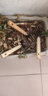 沃施（WORTH） 儿童园艺小工具 日式小铲子小耙子三爪套装盆栽多肉植物小工具 2509木柄三件套 实拍图