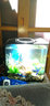 biOrbFLOW15L生态金鱼缸家用办公室桌面创意礼品方形亚克力水族箱 15L黑缸MCR灯+图片造景1 晒单实拍图