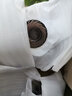 DURALEX餐具碗碟套装家用2人 法国轻奢高档玻璃餐具 盘子碗微波炉餐具 咖啡色7件套【双耳碗】 实拍图