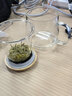 怡品堂 茶具 茶杯耐热玻璃杯茶水分离杯带把过滤喝茶杯男女士办公室家用观山水杯带盖 创意加厚玻璃泡茶杯 雅致杯470ml 实拍图
