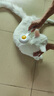 PEISIMA猫梳子去浮毛宠物排针梳猫咪狗狗专用梳毛刷猫毛狗毛清理器除毛器 象牙白【祛浮毛+按摩+开结】 实拍图